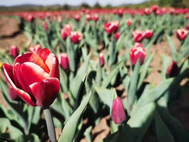 99久久超碰国产精品